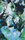 Studio Double Visions | Mosaico+