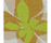 Studio Flowers | Mosaico+