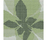 Studio Flowers | Mosaico+