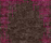 Stries | Chevalier édition