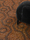 Create | Bolon