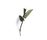 Metal Garden | anthologie quartett