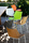 Colors | Point