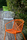 Colors | Point