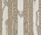LC2 | Dedar