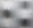 Organza | Lithos Design