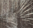 Vienna | Toulemonde Bochart