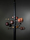 AT16 Column coat stand | TECNO