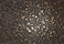Metallization | Lotus effect | VEROB