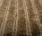 MyNow | Now Carpets