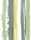 Bamboo | BANTIE