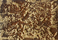 Patination | relief | VEROB