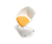 Popcorn | Fora Form