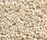 Concept 504 | Carpet Concept