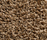 Concept 504 | Carpet Concept