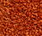 Concept 504 | Carpet Concept