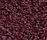 Concept 504 | Carpet Concept