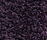 Concept 504 | Carpet Concept