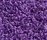 Concept 504 | Carpet Concept