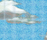 Clouds | Bisazza