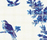 Jardin | Bisazza