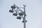 F32 LED Floodlight | ewo