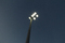 F32 LED Floodlight | ewo