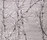 Bamboo | Domaniecki