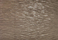 Structure | Notches | VEROB