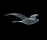 Clouds & Birds | Magis