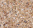 Silestone® Mesopotamia | Cosentino