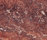 Scalea® Travertinos | Cosentino