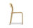 Blocco | Plank