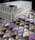 Glass tiles | Vetroattivo | Poesia