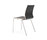 New Bloom | Segis