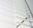 Venetian Blinds | Ann Idstein