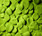 Wallpanels | Johanson Design