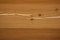 mafi LARCH Virgin Vulcano wide-plank | mafi