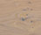 mafi OAK Country | mafi