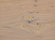 mafi OAK Country wide-plank | mafi