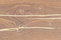 mafi Coral OAK Vulcano wide-plank gold | mafi