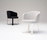 Primi | Phase Design