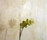 Stucco gesso | Stucco Pompeji