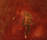 Stucco gesso | Stucco Pompeji