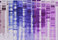 tela graph | tela-design