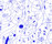 tela graph | tela-design