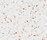 STARON® Tempest | Staron