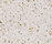 STARON® Tempest | Staron
