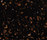 STARON® Tempest | Staron