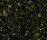 STARON® Tempest | Staron